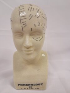 Phrenology Head